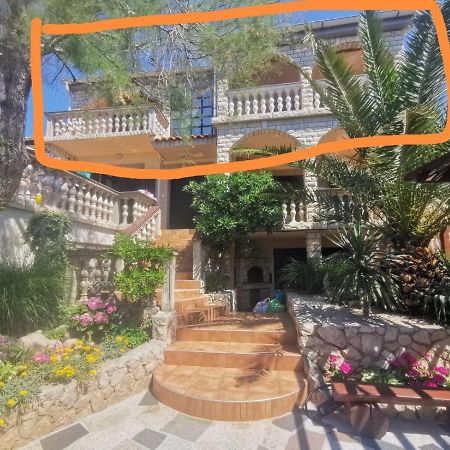 Apartman Ankica Vir Dış mekan fotoğraf
