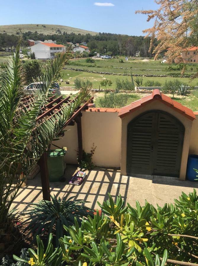 Apartman Ankica Vir Dış mekan fotoğraf